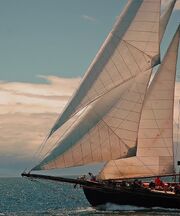 Pacific Grace Day Sail