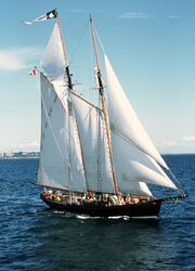 Pacific Grace