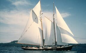 Robertson II After