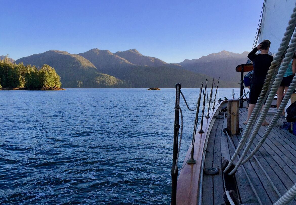 image by Sherilyn Thomson