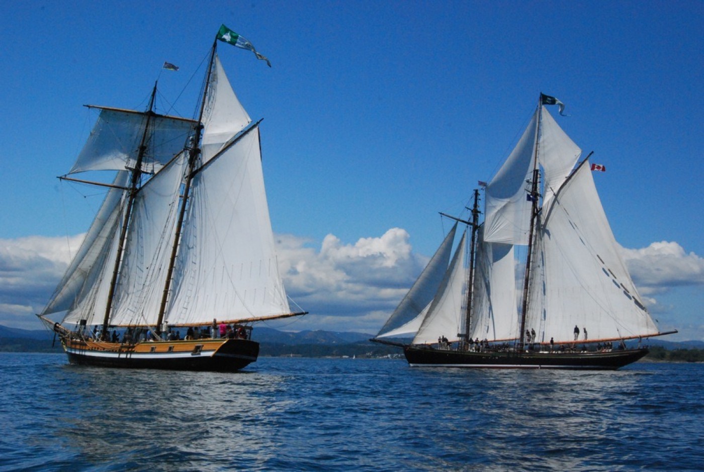 Pacific Grace and Pacific Swift