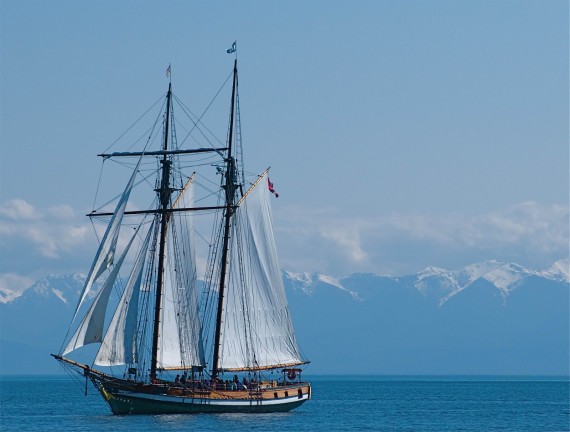 Pacific Swift By Captain James Mead Maya