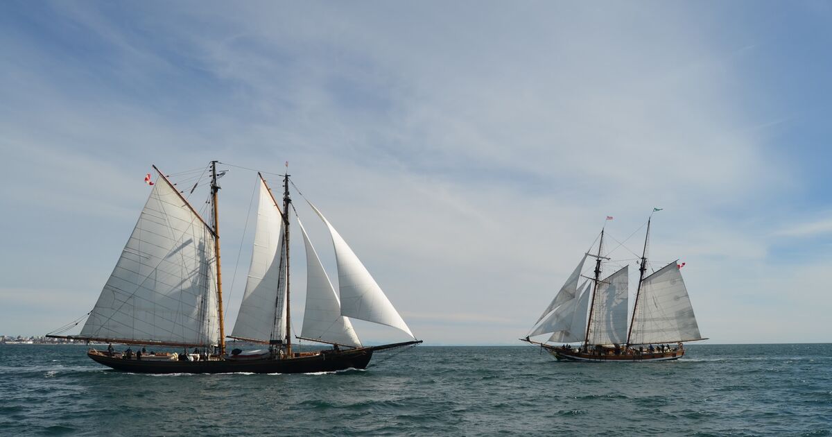 S.a.l.t.s. Sail and Life Training Society logo