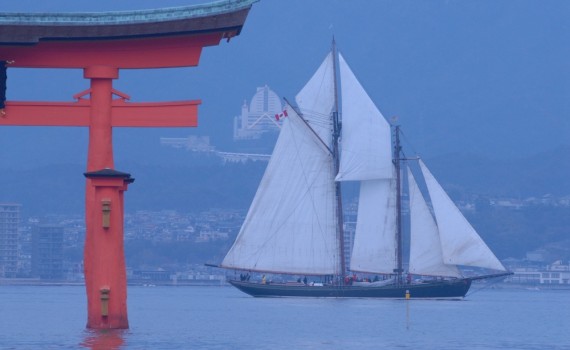 Pacific Grace in Japan By Antony Dickinson